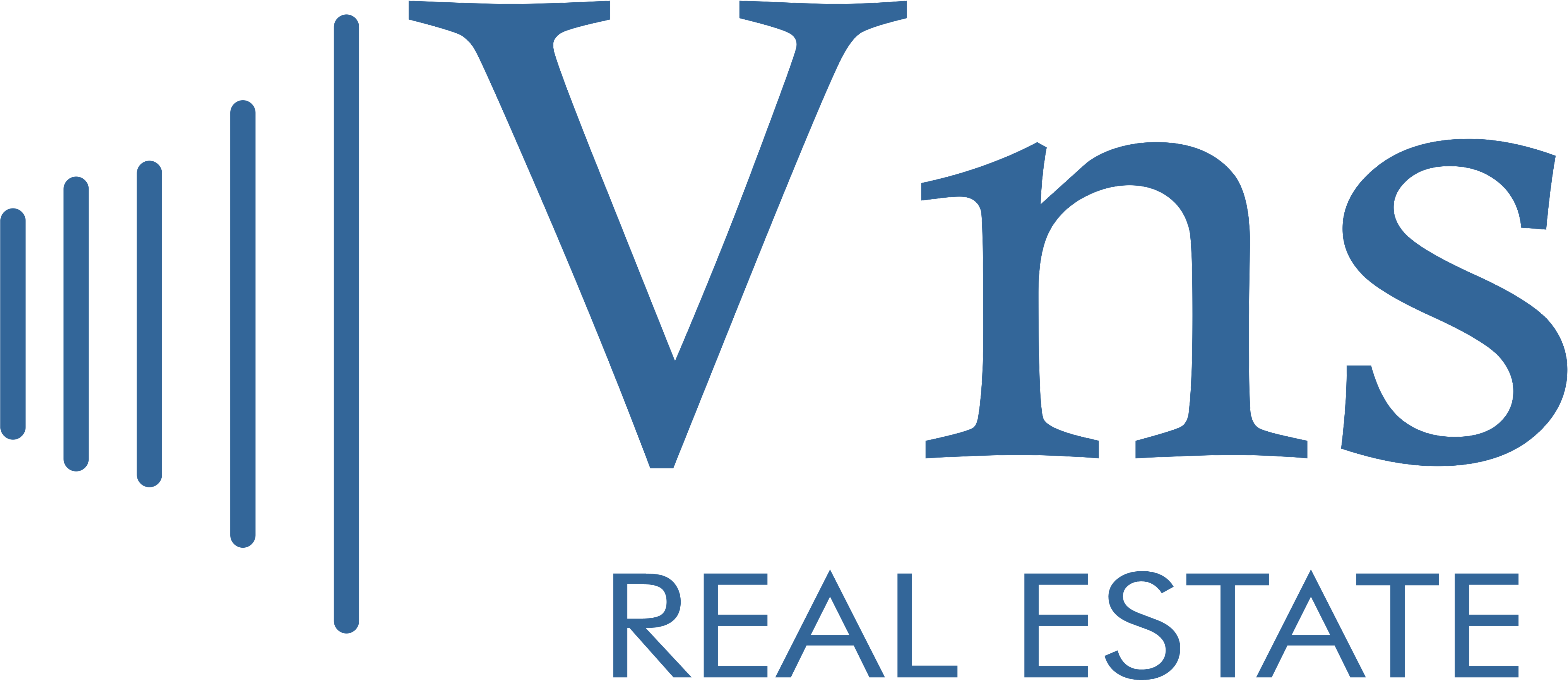 VNS Real Estate